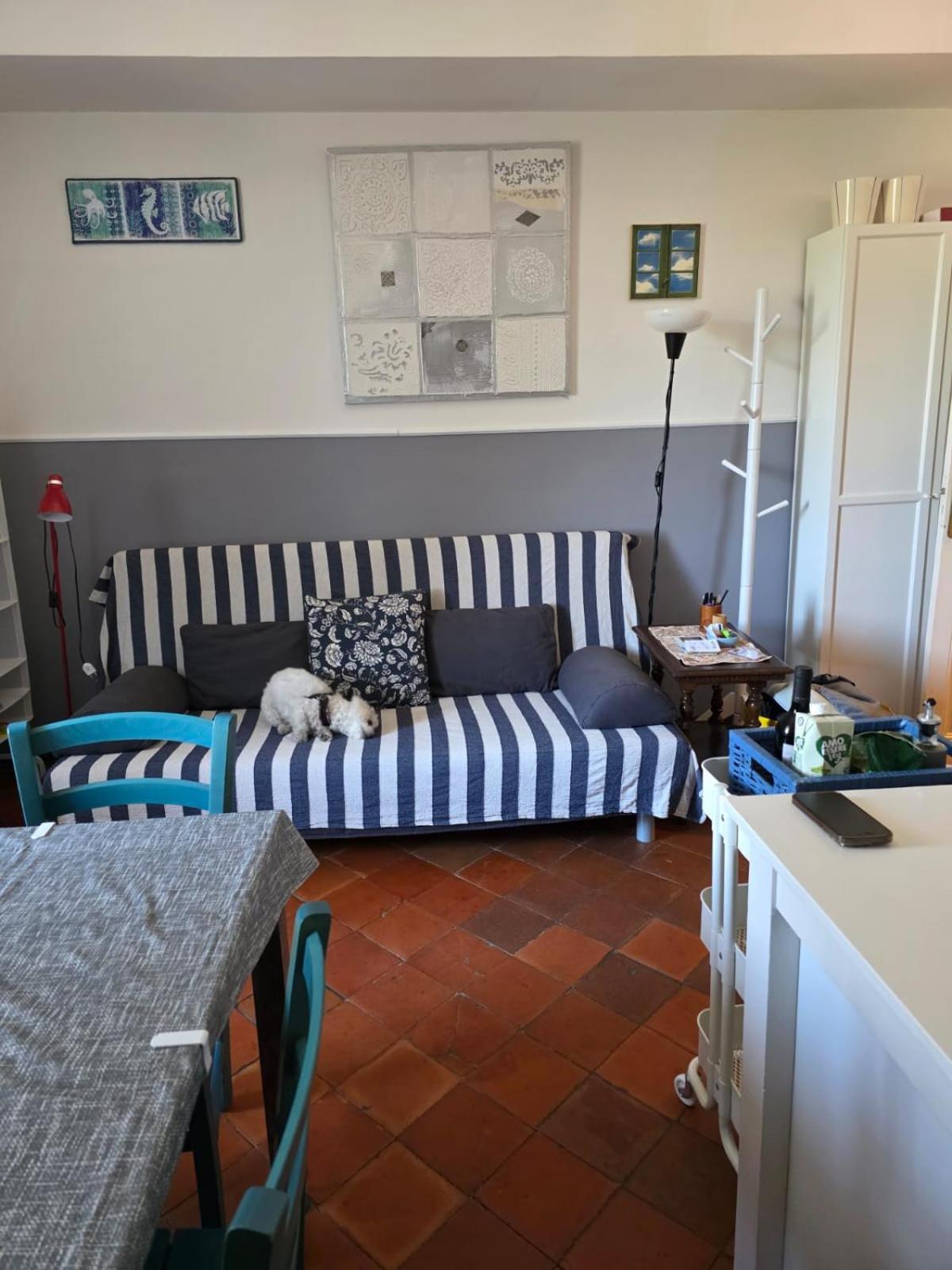 The Shell - New Interior Look But Same Old Charme 200Mt From The Sea With Garden And Parking Nearby Apartment Imperia Exterior photo